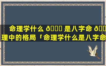 命理学什么 🐒 是八字命 🌲 理中的格局「命理学什么是八字命理中的格局的特点」